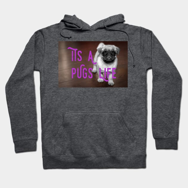 It's A Pugs Life Hoodie by tribbledesign